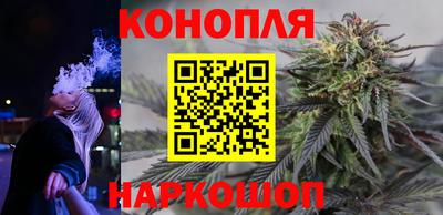 дмт Донской