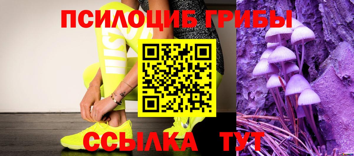 Псилоцибиновые грибы Psilocybe Мариинск