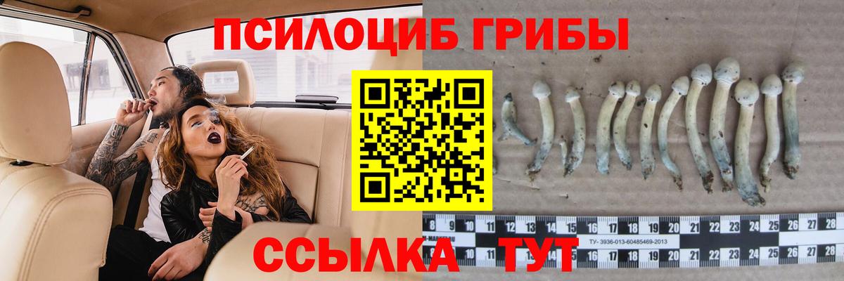 Псилоцибиновые грибы прущие грибы  Вход с VPN  Мариинск  Псилоцибиновые грибы Cubensis 